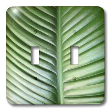 Imagem de 3dRose lsp_193143_2 Impressão da foto de closeup da palma frontal da Boca Raton Light Switch Cover