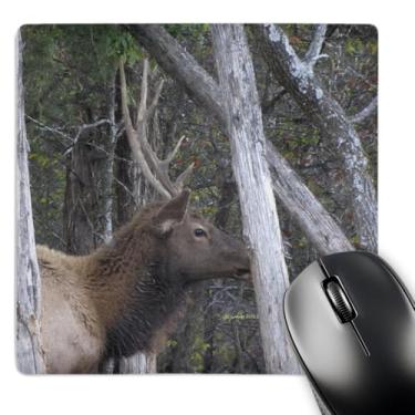 Imagem de 3dRose Mouse pad alce LLC 20,3 x 20,3 x 0,63 cm (mp_21059_1)