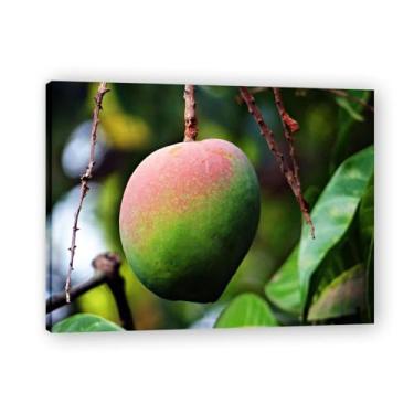 Imagem de Arte em tela de manga meio madura, fruta sazonal e paisagem fotografada real – Decoração fresca para sala de estar e sala de jantar emoldurada 69,88 x 91 cm