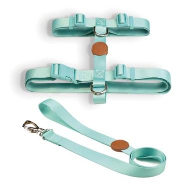 Imagem de Coleira Peitoral H e Guia para Cachorro Fita Premium 100% Poliéster Fecho Resistente(Maresia,PP)