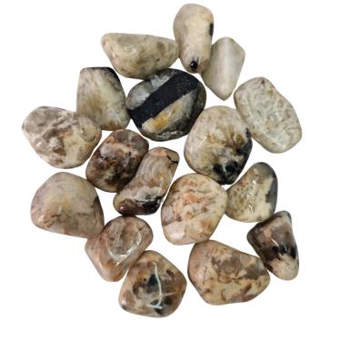 Imagem de Pedra Jaspe Zebra 2 a 4 cm Rolada 250 gramas Natural