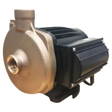 Imagem de Bomba Rowa MAX 26 Sanitária 220V  Recirculação Aquecedor