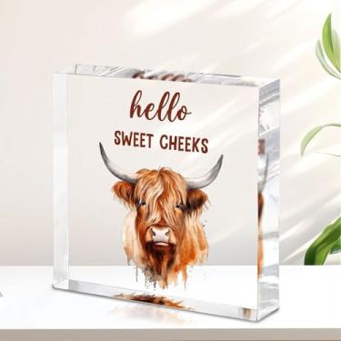 Imagem de Hello Sweet Cheeks Decoração acrílica - Placa de banheiro engraçada e fofa, decoração de mesa rústica para banheiro, banheiro, penteadeira, arte de parede de banheiro humorística exclusiva