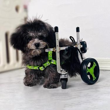 Imagem de Cadeira de rodas leve para cães para pernas traseiras – Carrinho de estimação de 4 rodas para fraqueza dos membros posteriores, carrinho de apoio para cães de raças pequenas (XS) - Melhora a
