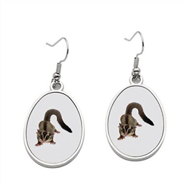 Imagem de Brinco Sugarglider – Brincos pendurados para meninas – Presente de festa de aniversário dos namorados