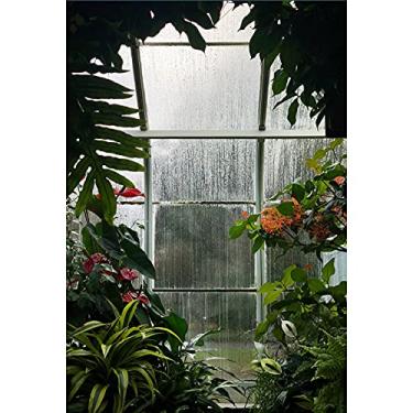 Imagem de YongFoto Estufa de 1,8 m x 2,4 m fundo de sala de flores primavera vidro flores plantas verdes interior jardim fundo fotografia crianças decoração de festa de aniversário adultos retrato artístico adereços de foto poliéster