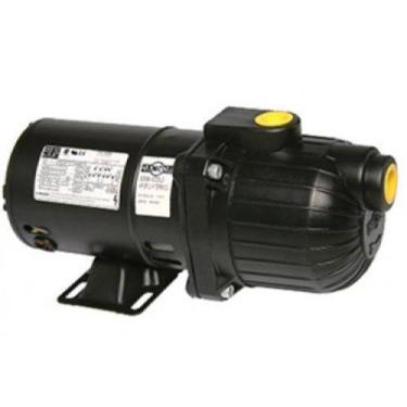 Imagem de Bomba Auto Aspirante Dancor AP2R 1/4 cv (127/220 v.) bivolt