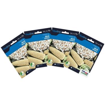 Imagem de 4X Sementes de Milho de Pipoca Blueline TOPSEED