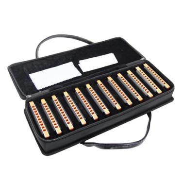 Imagem de Para Iniciantes harmônica Conjunto De Gaita De Azul Diatônica De 10 Buracos Conjunto De Órgão De Boca De 12 Harpas Para Adultos E Profissionais Com Caixa Preta