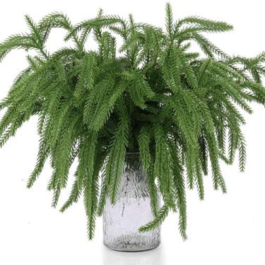 Imagem de Christmas Norfolk Pine escolhe 50 unidades Rowfad para decoração de Na