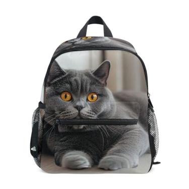 Imagem de GAIGEO Cute Kitten British Shorthair Cat Small Kids Backpack Little Boys Backpack with Front Pocket, Safety Whistle for Ages 3-8