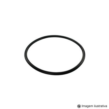 Imagem de Guarnição Módulo Combustível Fiesta 1.6 4C 16V 11 ... 13 / Fusion 2.0 4C 16V Hibrido / Eletrico 13 ... Omega 3.8 V6 12V 99 ... 11