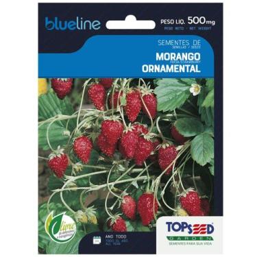 Imagem de Sementes de Morango Ornamental Blueline TOPSEED