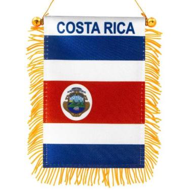 Imagem de Bandeira pendurada na janela Anley Costa Rica Fringy 10x15cm com sucçã