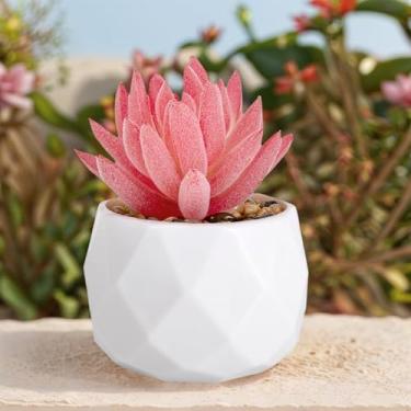 Imagem de Planta suculenta artificial em vaso decorativo, suculenta falsa realista para decoração de casa, escritório e jardim, planta interna de fácil manutenção