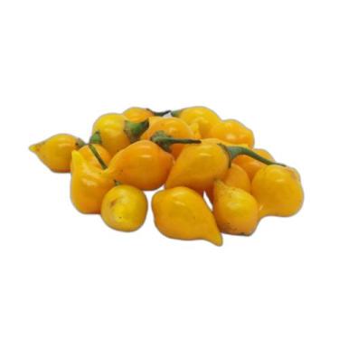 Imagem de Semente Hortaliça/Verdura/Especiaria monte seu kit personalizado - Alp