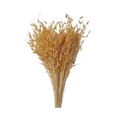 Imagem de Flor Capim Dourado  Sempre vivas  Natural e Desidratado - VIVA FLOR