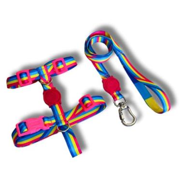 Imagem de Coleira Peitoral Tipo H para Cães - Anti-Puxão com Guia de 1,10m | Varias Estampas (Rainbow,P)