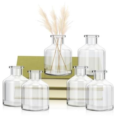 Imagem de 6 vasos de vidro transparente