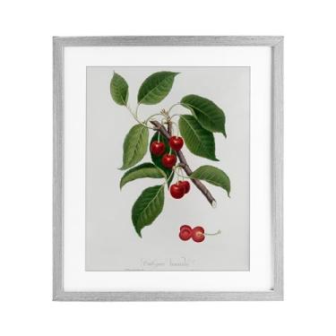 Imagem de Stupell Industries Estudo latino da planta de cerejeira impressão emoldurada cinza sob vidro, design por Lettered and Lined, 16 x 13