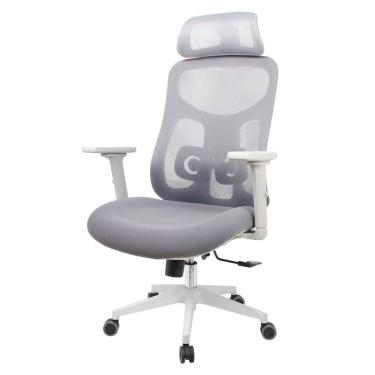 Imagem de Cadeira Escritório Nr-17 Everest Presidente C- Braços Fratini Encosto Tela Gelo-cinza Base Rodízio