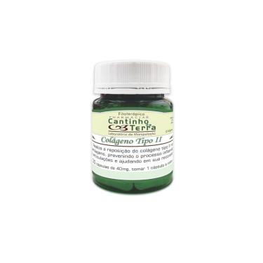 Imagem de Colágeno Tipo 2/ 40mg - 30caps