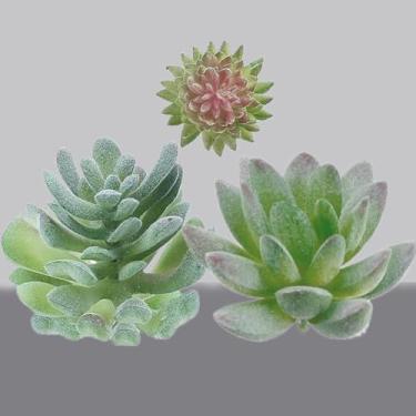Imagem de Pacote com 3 plantas suculentas artificiais, vegetação falsa realista, sortidas, suculentas duplas, mini arranjos decorativos