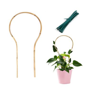 Imagem de Cambaverd Pacote com 3 treliças de bambu mínimas de 40,6 cm – Treliça de suporte de plantas em forma de treliça com laços de torção para plantas de escalada, plantas em vaso Hoya, plantas de casa, videira