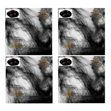 Imagem de Kit C/ 4 Teias De Aranha Fake Decorativo Preto E 16 Mini Aranhas Cobre Até 2,00 Cada Decoração Festas Halloween Eventos