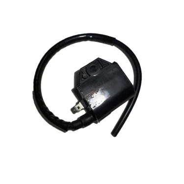 Imagem de Bobina de ignição cdi scooter fifty 50 2002 pgo sundown