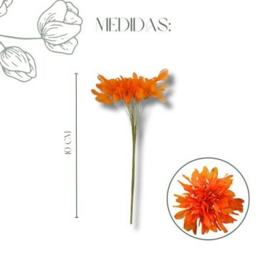 Imagem de Buquê Folha De Magnólia Libélula Esqueletizada Cores - FLORA FULL, Lar