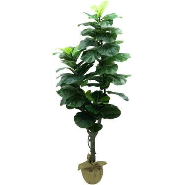 Imagem de Arvore Planta Ficus Lyrata 180cm tronco Real Grande Verde - La Caza St