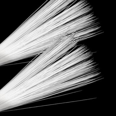 Imagem de GSHLLO 600 peças 7,5 cm agulha feltragem bigodes animais simulados bigodes de gato falso coelho bigode animais realistas bigode DIY feltro animal suprimentos para ratos gatinho branco