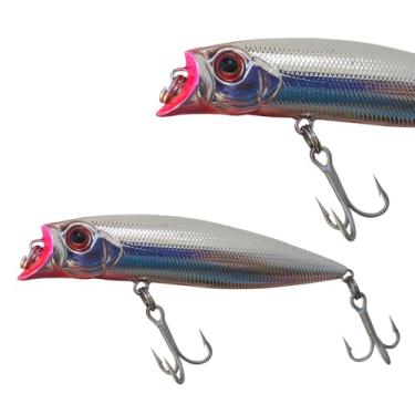 Imagem de Isca Artificial Brava 77 Marine Sports Flutuante 7,7m Com Sistema Magnético (N8 - PRATEADO)