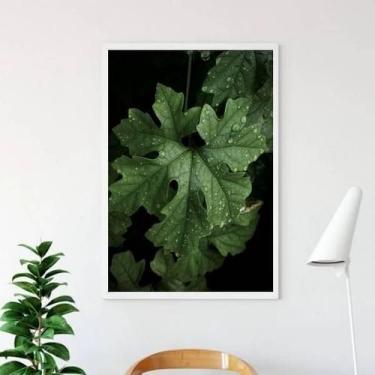 Imagem de Quadro Fotografia Folhas 33X24Cm - Com Vidro Moldura Branca - Quadros 