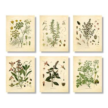Imagem de Ink Inc. Impressões botânicas vintage | Arte de parede de ervas de cozinha tomilho, menta, alecrim, salsa, sálvia, funcho | Conjunto de 6 20 x 25 cm sem moldura