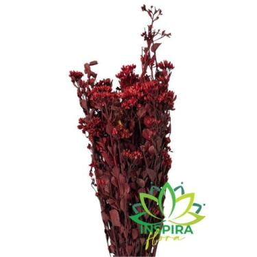 Imagem de Buque Flor Chuvisco Natural Desidratada Buque Flores Secas - Flora Ful