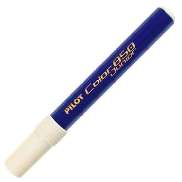Imagem de Caneta Hidrográfica Pilot Color 850, AZUL