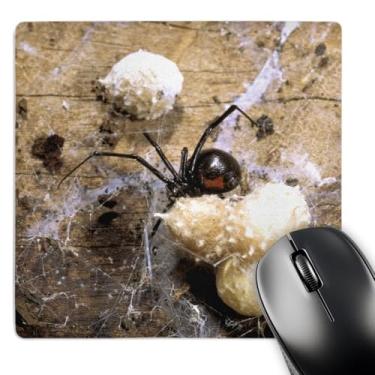 Imagem de 3dRose Mouse pad LLC 20 x 20 x 0,63 cm, Madagascar, Malagasy Black Widow Spider, Egg Sacs-Af24 Pox0029 - Pete Oxford (mp_75203_1)
