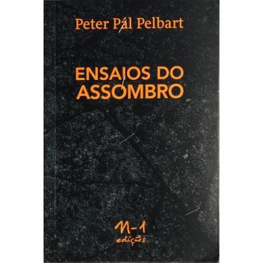 Imagem de Livro - Ensaios do assombro