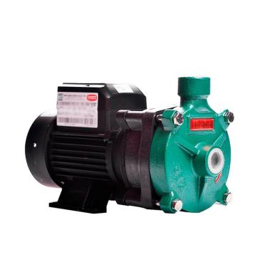 Imagem de Bomba Monoestágio B-12 1/2 Cv Rotor 11,2cm Monofásico Motor Thebe Ip55 127/220-254v