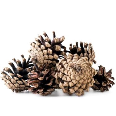 Imagem de 18 peças de enfeites de pinhas de Natal rústicos para pendurar com cordão de pinhas decorações de árvore de Natal para casa de fazenda, Natal, casamento, outono, festa, guirlanda, centro de mesa