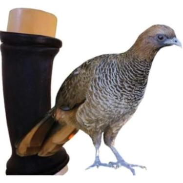 Imagem de Apito Inhambu Açu + Apito Aracuã com Fole Pios em madeira profissionais