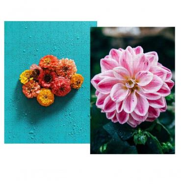 Imagem de Kit 2 Quebra-cabeças Cognitivo P-idosas Flores Brasil 60pçs