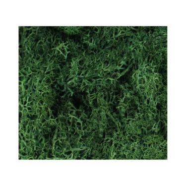 Imagem de Mini Plantas Verdes Artificiais Musgo Da Vida Eterna Decoração DIY Par