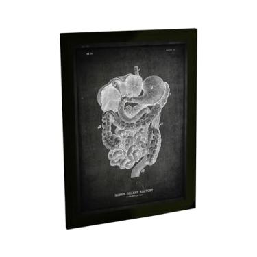 Imagem de Quadro Decorativo Órgãos Humanos Biologia Medicina Decoração Escritório