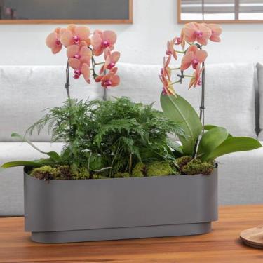 Imagem de Champanheira Poli Grafite Fosco Grande para 4 garrafas - St James