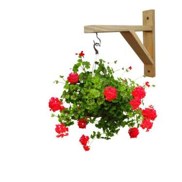 Imagem de Kit 2 Suporte Para Pendurar Vaso De Planta Parede No Gancho - LuckBaby