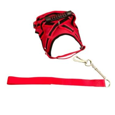 Imagem de Coleira peitoral para cachorro reforçada com nome na guia cachorro de pequeno mdio e grande porte para passeios com mola(VERMELHO,G)