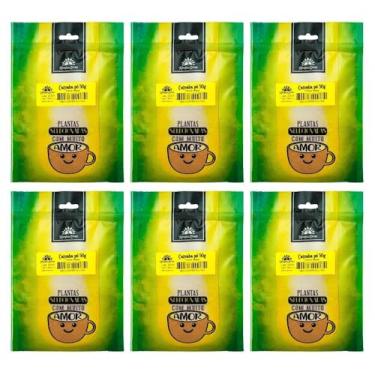 Imagem de Kampo de Ervas, Kit 6 Catuaba pó Premium Pura 50g cada Kampo de Ervas